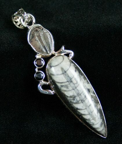 Fossil Orthoceras & Trilobite Pendant - Sterling Silver #7036